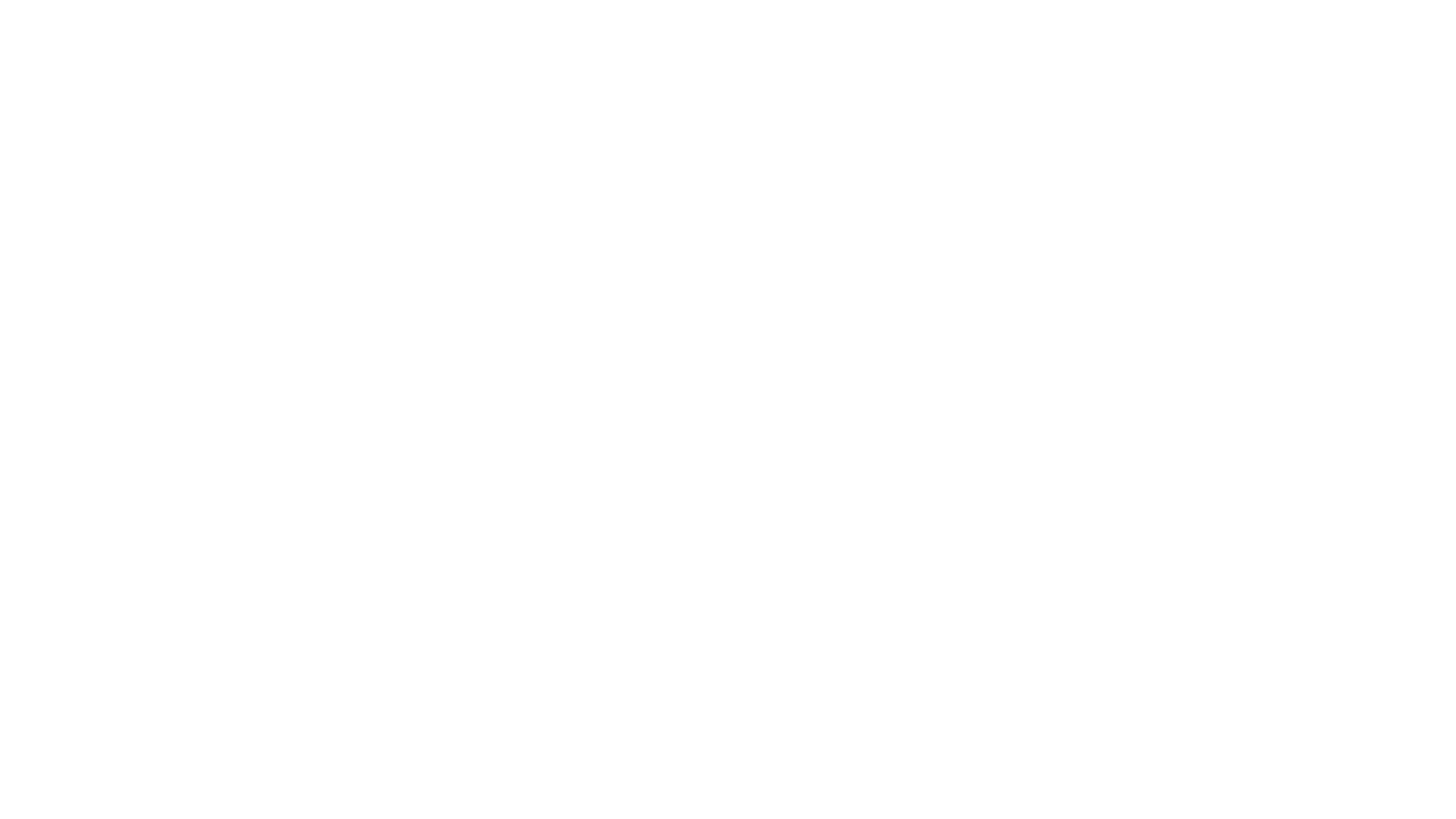 ZHIN
